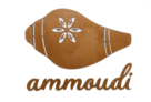 Ammoudi